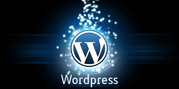 formation wordpress e learning