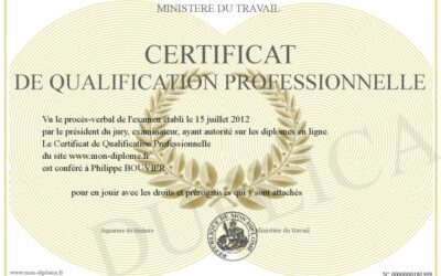 Comment Obtenir et Gérer un Certificat de Qualification Professionnelle (CQP) en France ?