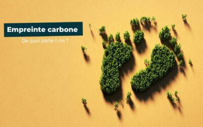 Bilan Carbone Obligatoire : L’Echec d’un Symbole du Mepris des Enjeux Climatiques en France