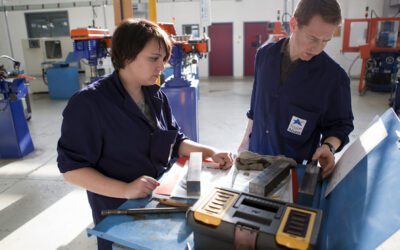 Taux de Retour à l’Emploi des Apprentis Diplômés de CAP à BTS : 70 % En Emploi Un An Après la Fin d’Études